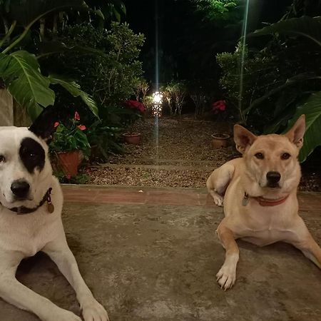 Villa Albizia, Chiang Mai Doi Saket Luaran gambar