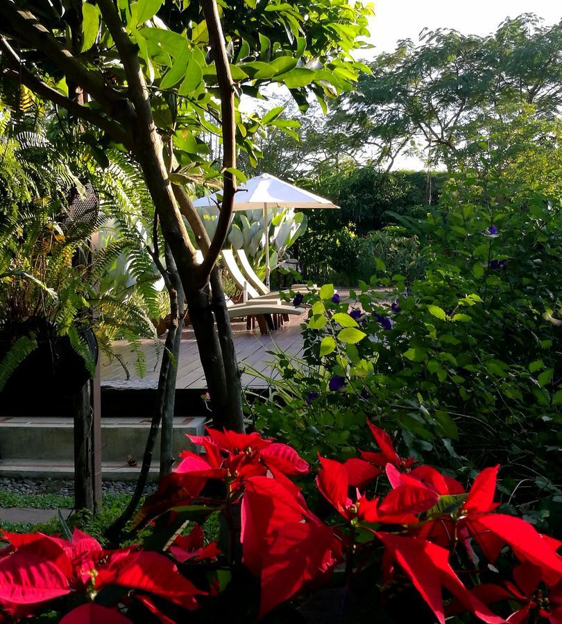 Villa Albizia, Chiang Mai Doi Saket Luaran gambar