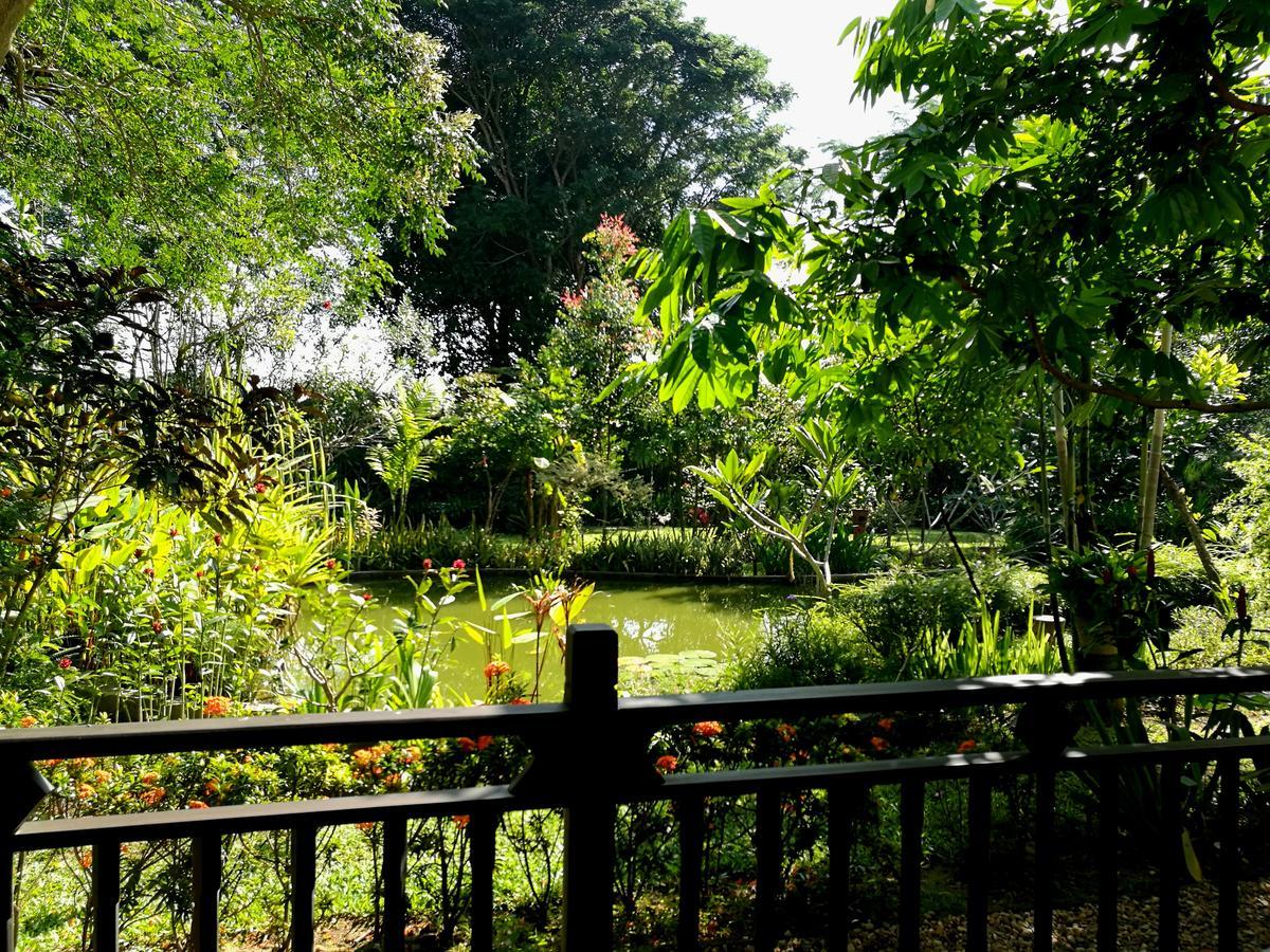 Villa Albizia, Chiang Mai Doi Saket Luaran gambar