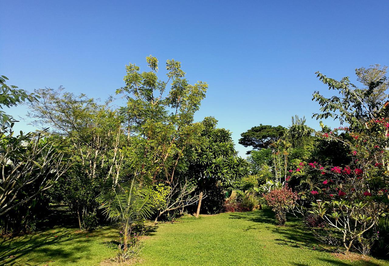 Villa Albizia, Chiang Mai Doi Saket Luaran gambar